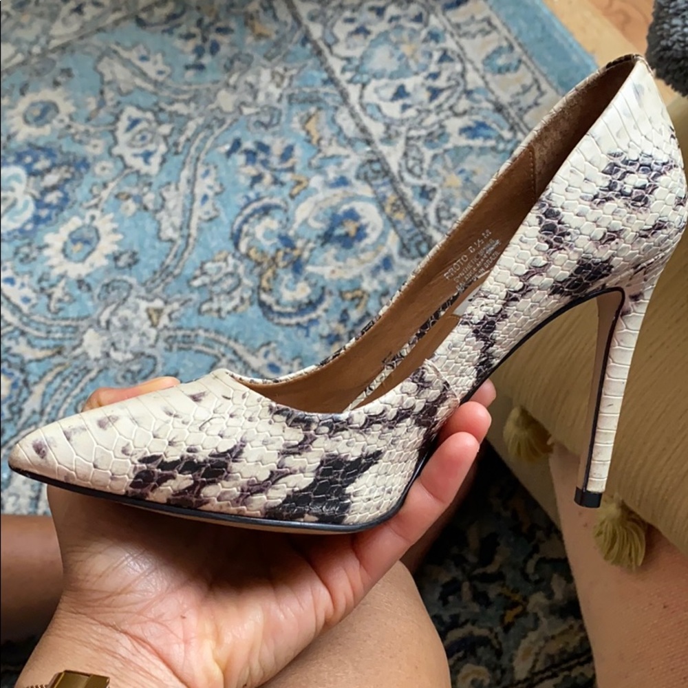 Snake Steve Madden Porto Heels